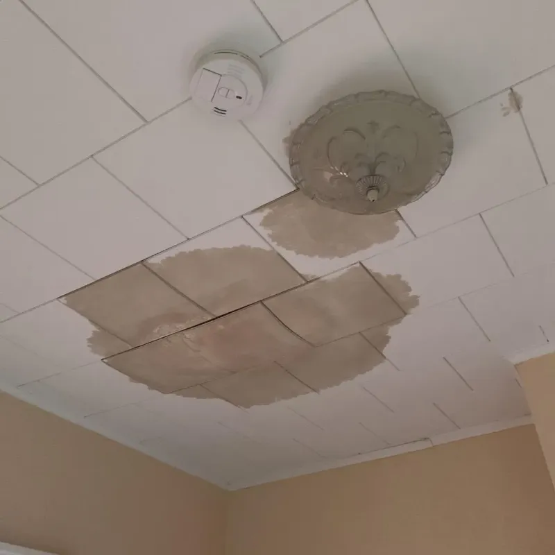 Ceiling Water Damage Repair in Keaau, HI